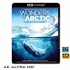 (優惠4K UHD) 北極奇觀/奇幻冰極 Wonders of the Arctic (2014) 4KUHD