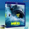 (優惠50G-2D+3D) 巨齒鯊 The Meg (201...