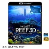 (優惠4K UHD) 最後的珊瑚礁 IMAX: The Last Reef: Cities Beneath The Sea 4KUHD