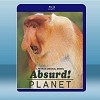 怪誕星球 Absurd! Planet (2020) 【2碟】 藍光25G