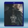 犬山記/犬之力 The Power of the Dog (2021) 藍光25G