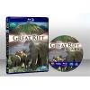 大裂谷：美麗的非洲心臟 The Great Rift: Africa's Wild Heart (2010) 藍光25G