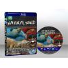 BBC自然世界系列 The BBC Natural Worl...