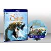 黃金羅盤 The Golden Compass (2007) 藍光25G