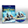 驚濤駭浪 The River Wild (1994) 藍光25G