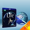 BBC Earth Life 生命脈動 (4碟) 25G藍光