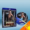 斯巴達克斯：復仇 Spartacus: Vengeance ...