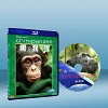 黑猩猩 Chimpanzee (2012) 藍光25G