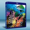 珊瑚海之夢/夢幻珊瑚海:喚醒 Coral Sea Dreaming: Awaken 藍光25G