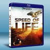 探索頻道:生命的速度 Speed of Life (2010) 25G藍光