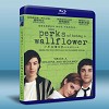 壁花男孩 The Perks of Being a Wallflower (2012) 藍光25G