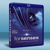 索尼音樂頂級藍光試機碟 Forsenses I