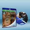狂野亞洲：赤猿的領地 Wild Asia 1 In the Realm of the Red Ape