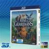 3D 捍衛聯盟 Rise of the Guardians ...