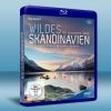 野性斯堪的納維亞 Wildes Skandinavien (...