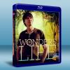 BBC生命的奇跡 BBC: Wonders of Life ...