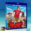 (3D+2D)格列佛遊記 Gulliver's Travels (2010) 藍光50G