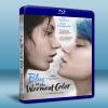 藍色是最溫暖的顏色 Blue is the Warmest Color (2013) 藍光25G