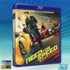 (優惠50G-3D影片) 極速快感 Need for Speed (2014) 藍光BD-50G