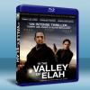 震撼效應 In the Valley of Elah (20...