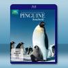 BBC 企鵝間諜 Pinguine hautnah 藍光BD-25G