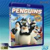 (優惠50G-3D+2D影片) 馬達加斯加爆走企鵝 The Penguins of Madagascar (2015) 藍光50G