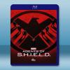 神盾局特工 Agents of S.H.I.E.L.D. 第2季 (5碟) 藍光25G