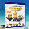 (優惠50G-2D+3D) 小小兵 The Minions (2015) 藍光50G