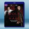 狼廳 Wolf Hall (2015) 藍光25G