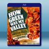 翡翠谷 How Green Was My Valley (1941) 藍光影片25G