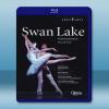 柴可夫斯基天鵝湖藍光 Tchaikovsky Swan La...