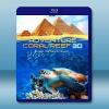 (3D+2D) 埃及海底珊瑚礁 探險之旅 Adventure...