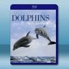 臥底海豚幫 Dolphins - Spy in the Po...