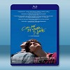 以你的名字呼喚我 Call Me by Your Name (2017) 藍光影片25G