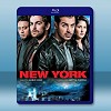 紐約 New York <印度> (2009) 藍光25G