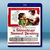 慾望街車 A Streetcar Named Desire [1951] 藍光25G