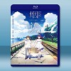 煙花 (2017) 藍光25G