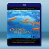 天堂的孩子/小鞋子 Children of Heaven <伊朗> (1997) 藍光25G