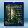 荒野之心 Leave No Trace (2018) 藍光25G