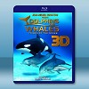 (快門3D) 海豚和鯨魚 3D Dolphins & Whales Tribes of the Ocean 3D (2008) 藍光影片25G