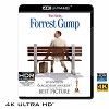 (優惠4K UHD) 阿甘正傳 Forrest Gump (1994) 4KUHD