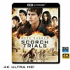 (優惠4K UHD) 移動迷宮：焦土試煉 Maze Runner：Scorch Trials (2015) 4KUHD