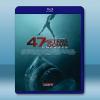  絕鯊47：猛鯊出籠 47 Meters Down: Uncaged (2019) 藍光25G