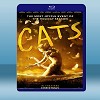 貓 Cats 【2019】 藍光25G