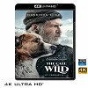 (優惠4K UHD) 極地守護犬 The Call of the Wild (2020) 4KUHD
