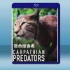 致命掠食者 CARPATHIAN PREDATORS (20...