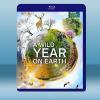 狂野地球 A Wild Year on Earth (202...