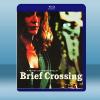 穿越情慾海 Brief Crossing/Breve tra...