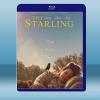 八哥 The Starling (2021) 藍光25G