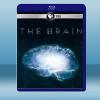 深入大腦 The Brain with David Eagl...